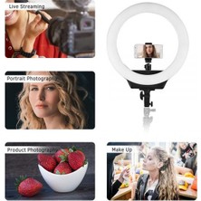 Afi 19" 48 cm Ring Light Profesyonel Youtuber Makyöz LED Işık ve Ayak