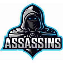 Sticker Atölyesi Assasins - Gamer - Gaming - Esports Sticker - 29037 Renkli 8 x 9 cm