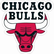 Sticker Atölyesi Chicago Bulls Sticker - 24048 Renkli 13 x 13 cm