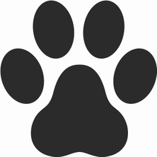 Sticker Atölyesi Siyah Pati Sticker - 17228-2 Siyah 20 x 20 cm