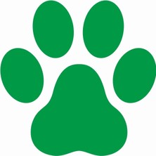 Sticker Atölyesi Yeşil Pati Sticker - 17228-6 Yeşil 10 x 10 cm