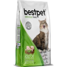 Bestpet Adult Chicken Tavuklu Kedi Maması 15 kg