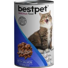 Bestpet Somonlu Yetişkin Kedi Konservesi 20 x 415 gr