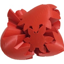 Nct Robotik 3D Printer Baskı Dişli Mekanizmalı Kalp