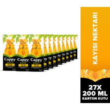 Cappy Kayısı 200 ml Tetra 27'li