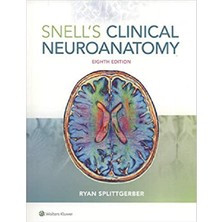 Snell's Clinical Neuroanatomy 8 th Edition