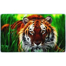 Colorix Kaymaz Deri Taban Banyo Paspas Takımı 50 x 60 cm - 60 x 100 cm