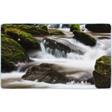 Colorix Kaymaz Deri Taban Banyo Paspas Takımı 50 x 60 cm - 60 x 100 cm