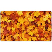 Colorix Kaymaz Deri Taban Banyo Paspas Takımı 50 x 60 cm - 60 x 100 cm