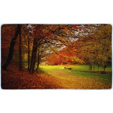 Colorix Kaymaz Deri Taban Banyo Paspas Takımı 50 x 60 cm - 60 x 100 cm