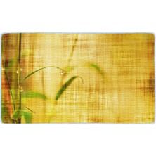 Colorix Kaymaz Deri Taban Banyo Paspas Takımı 50 x 60 cm - 60 x 100 cm