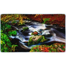 Colorix Kaymaz Deri Taban Banyo Paspas Takımı 50 x 60 cm - 60 x 100 cm