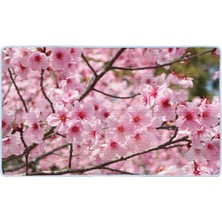 Colorix Kaymaz Deri Taban Banyo Paspas Takımı 50 x 60 cm - 60 x 100 cm