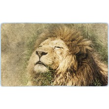 Colorix Kaymaz Deri Taban Banyo Paspas Takımı 50 x 60 cm - 60 x 100 cm