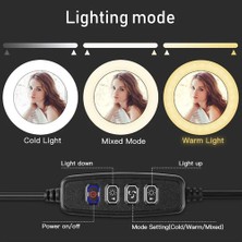 Wlue Youtuber LED Işıklı Tripod Selfie Kuaför Makyaj Işığı Sürekli Ring Light 10" 2,1 M