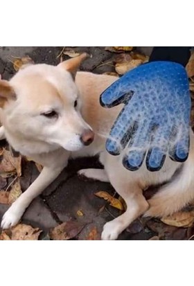 Evim Shopping Kedi ve Köpek Için Tüy Toplama Eldiveni