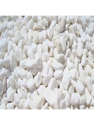 Dolomite Akvaryum Taşı Dolamite Taşı Dolamit Podima Doğaltaş  10 kg