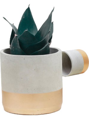 Ghogol Home Sukulent Kaktüs Beton Saksı