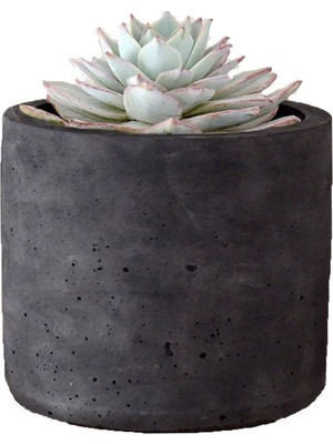 Ghogol Home Dekoratif Beton Saksı - Koyu Gri - Mat