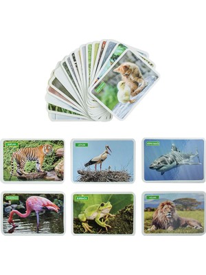 Diytoy İlk 50 Hayvan Eğitici Kartlar