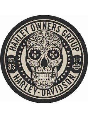 Sticker Atölyesi HOG Harley Kurukafa Sticker - 14003 Siyah 12 x 12 cm