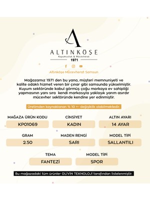 Altınköşe Kuyumculuk 14 Ayar Sallantılı Fantezi Küpe