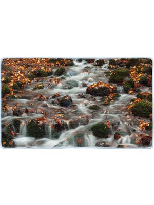 Colorix Kaymaz Deri Taban Banyo Paspas Takımı 50 x 60 cm - 60 x 100 cm