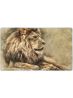 Colorix Kaymaz Deri Taban Banyo Paspas Takımı 50 x 60 cm - 60 x 100 cm