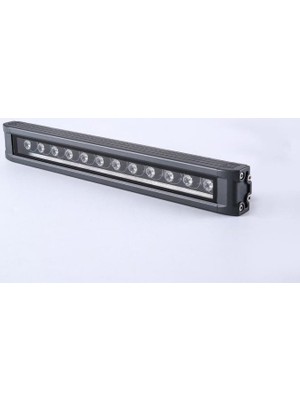 Cata 12 W Gold Wallwasher 30 Cm Beyaz Işık Ct-4695