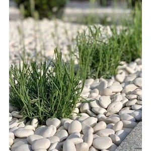 Hhk Beyaz Dolomit Doğal Dekoratif Taş 4-6 Cm 5 Kg