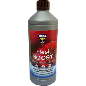 Boost 500 ml