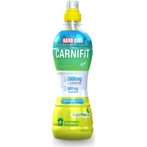 Carnifit Ananas 12000 Ml - 500 Ml X 24 Adet