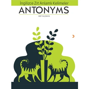 İngilizce Zıt Anlamlı Kelimeler Antonyms - Mert Yalçınkaya