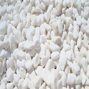 Dolomite Akvaryum Taşı Dolamite Taşı Dolomit Podima Dolomite Dolamit Taşı 5 kg 1.5 - 2.5 cm