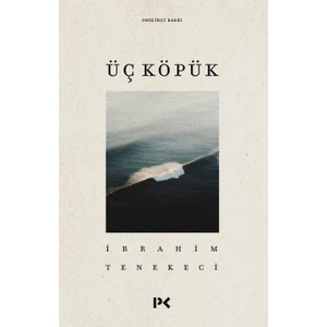 Üç Köpük - İbrahim Tenekeci
