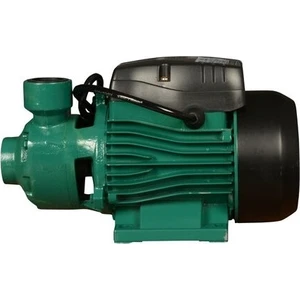 QB60 Bakır Sargılı Su Motoru