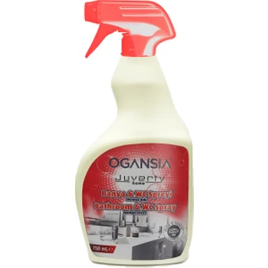 Banyo & Wc Sprey 750 ml