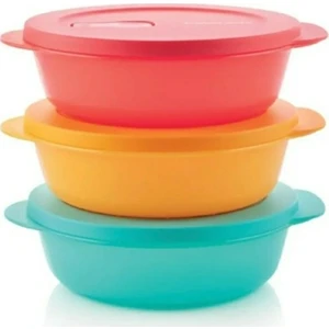Mikro Kaplar 1 Lt 3'lü Set