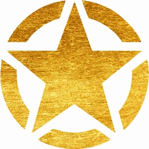 Sticker Atölyesi Eskitme Sarı Askeri Yıldız Sticker - 20516-9 Sarı 12 x 12 cm