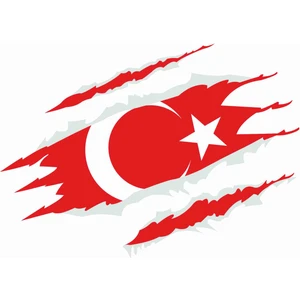 Sticker Atölyesi Türk Bayrağı Sticker - 20184 Renkli 17 x 12.5 cm