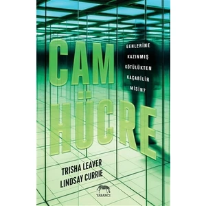 Cam Hücre