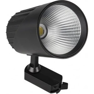 30 W Ray Spot Armatür Gün Işığı CT-5349