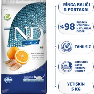 Ocean Balık Ve Portakallı Tahılsız Kedi Maması 5 Kg