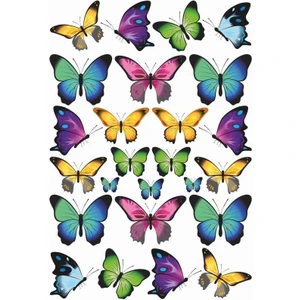 Kelebek Sticker Seti