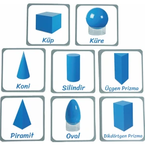 Meraklı Zebra Üç Boyutlu Geometrik Şekiller Gruplama Kartları