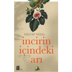 İncirin İçindeki Arı  - Mehtap Meral