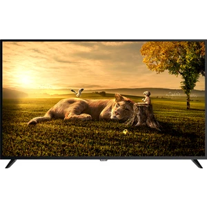AX55UAL402 55'' 139 Ekran Uydu Alıcılı 4K Ultra HD Android Smart LED TV