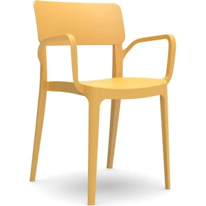 Panora Sandalye Hardal 6'lı Set