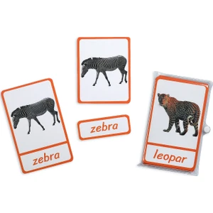 Meraklı Zebra Üç Parçalı Eşleştirme Kartları - Safari Hayvanları Seti