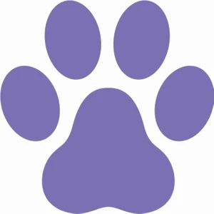 Sticker Atölyesi Eflatun  Pati Sticker - 17228-1 Mor 12 x 12 cm